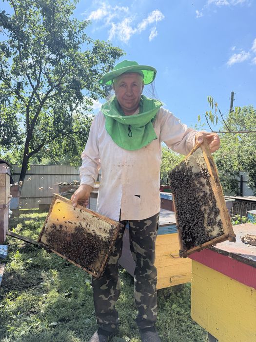 Натуральний липовий мед