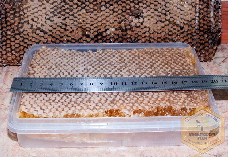 Мед у сотах акація / Сотовый мед / Стільниковий 900г свіжий збір 2025р