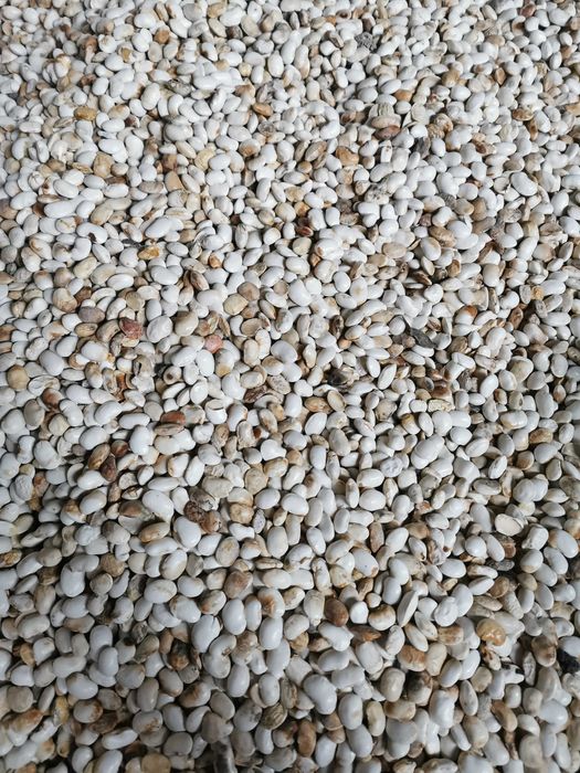 Odpady fasoli po sortowniku