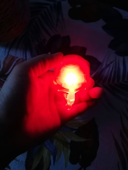 Miraculum Biedronka /świecącą Tiki