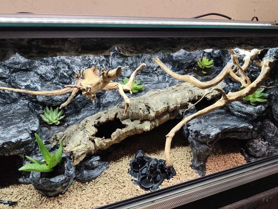 Terrarium stepowe - 100x40x40