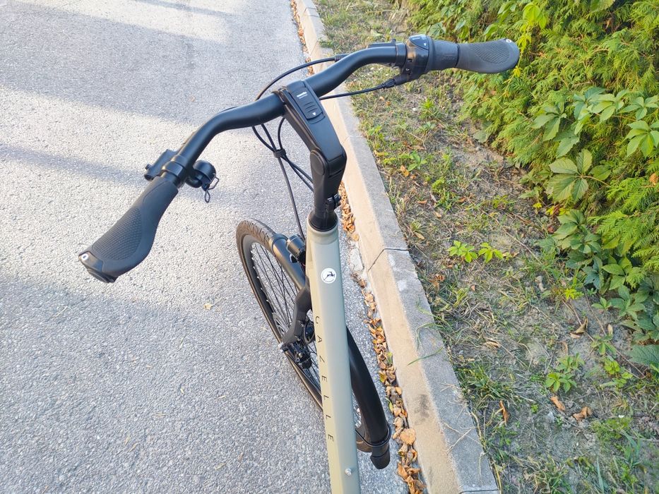 Gazelle Chamonix  Like batavus koga sparta cube