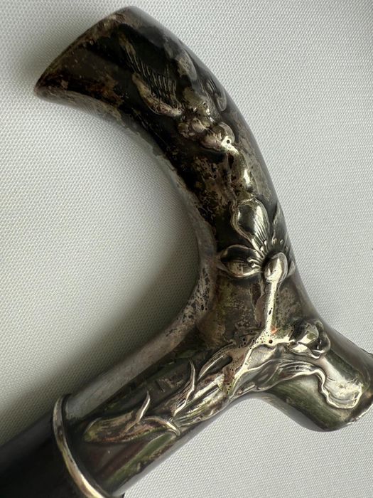 Тростина із срібла