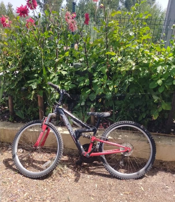 Bicicleta com roda 24