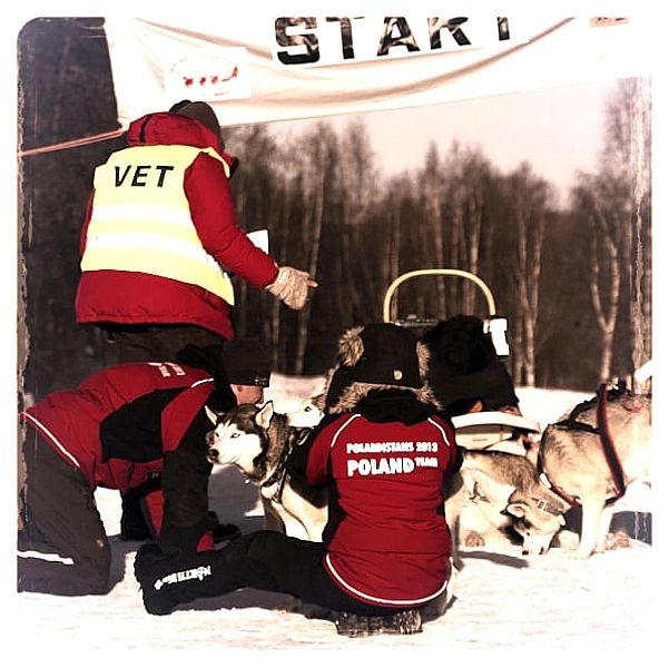 Spodnie zimowe Softshell North-Wind czarne (XS)