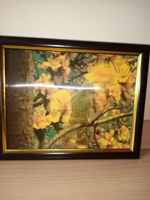 Obrazek ptaszka trójwymiarowy