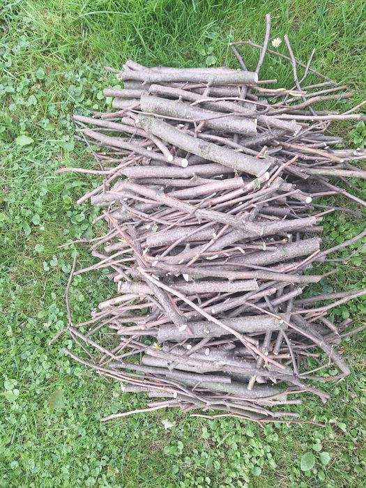 Gałązki leszczyny dla gryzoni 5 kg