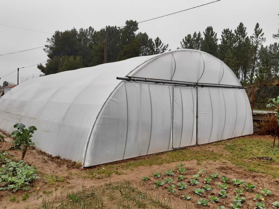 Estufa usada tipo túnel 300m2