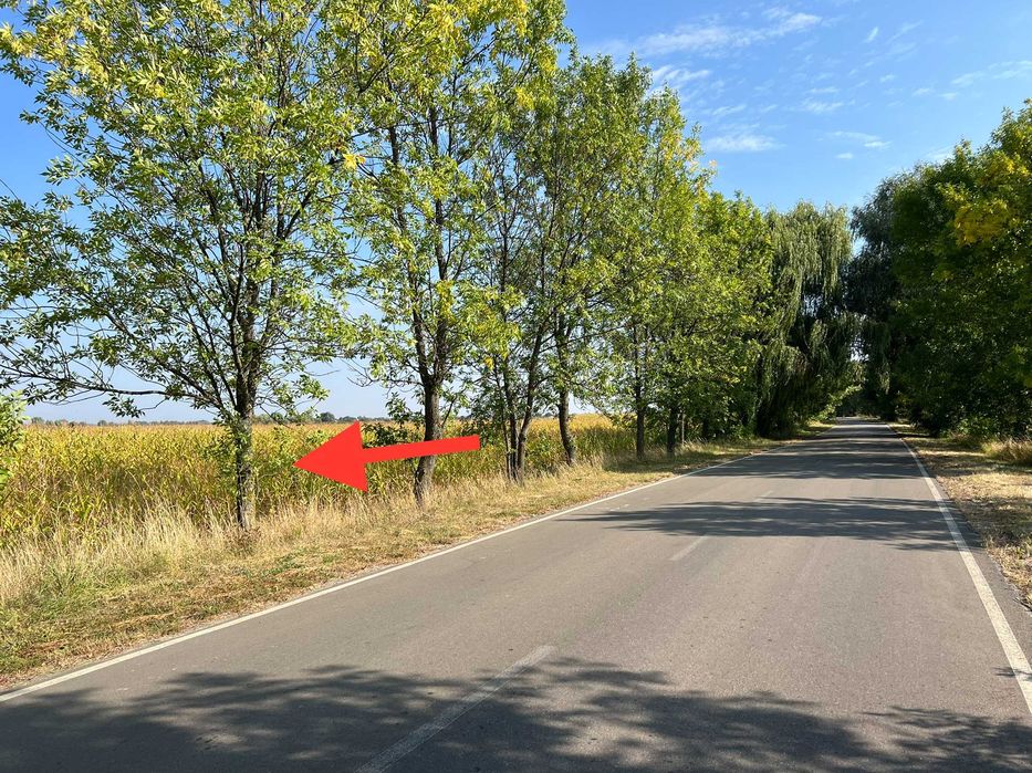 Дударків Фасадна ділянка 1 га