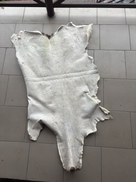 Шкура косулі 120см