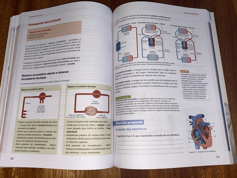 Study Guide Manual “Guia de Estudo 10 Ano” Biology and Geology64739219081729123
