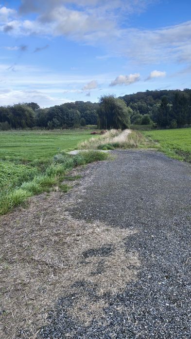 Wyjątkowa działka budowlana plus 1ha ziemi - Widok 5