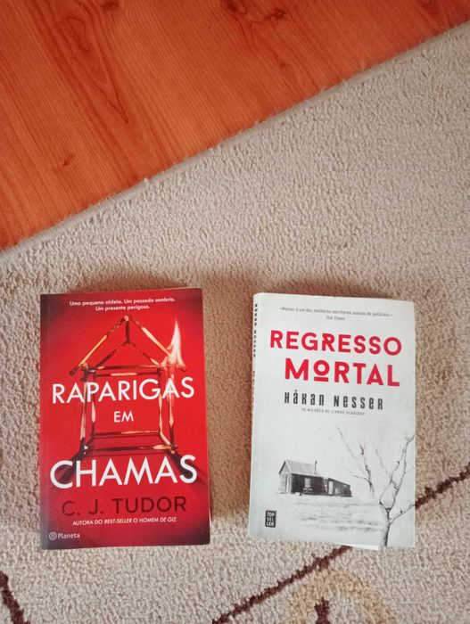 Livros de Leitura em Ótimo Estado – Vários Títulos e Gêneros