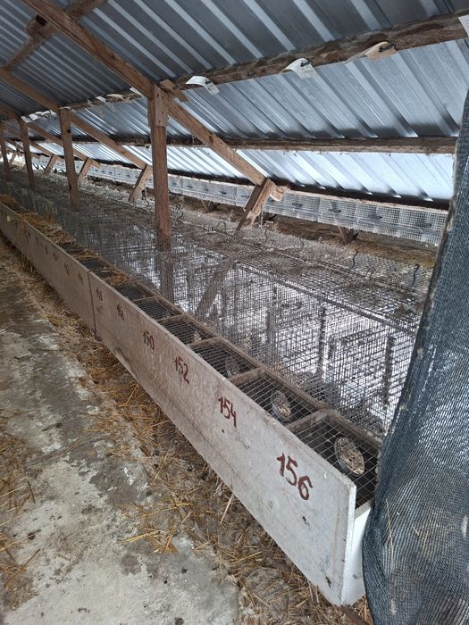 Sprzedam klatki 6 stanowiskowe do chodowli norek, powilony,klatki.