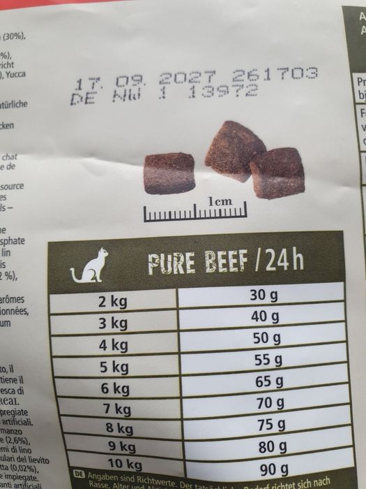 Real Nature Wilderness Pure Beef- monobialkowa sucha karma dla kota