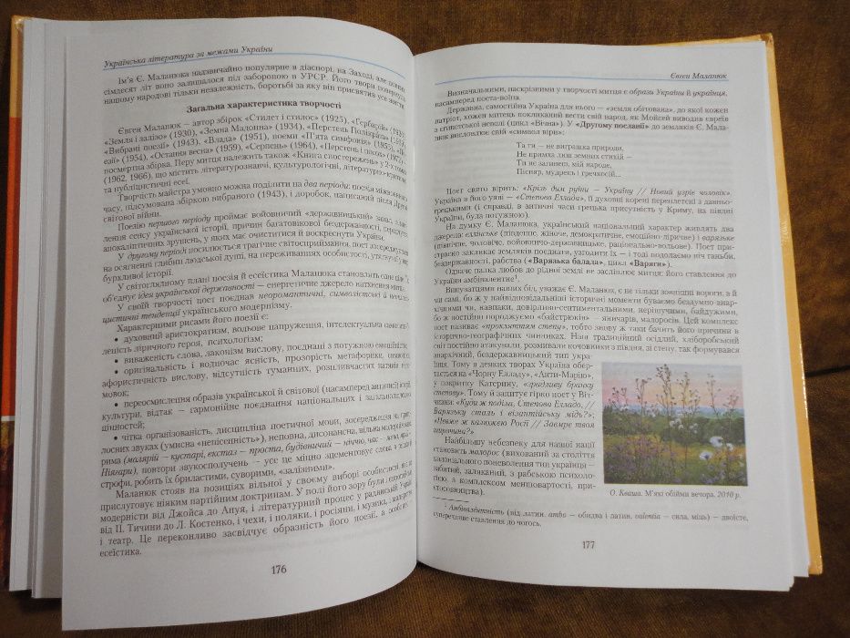 Підручник 11 Клас. Українська Література. Мовчан, Авраменко.