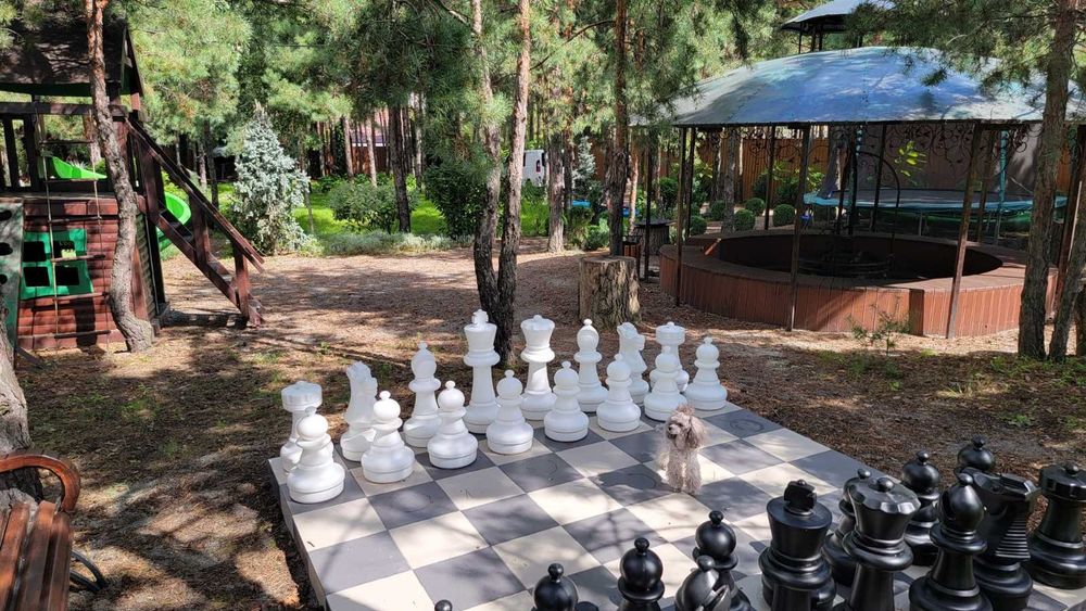 Світло постійне. Оренда будинку подобово.  Бассейн, чан с подогревом.