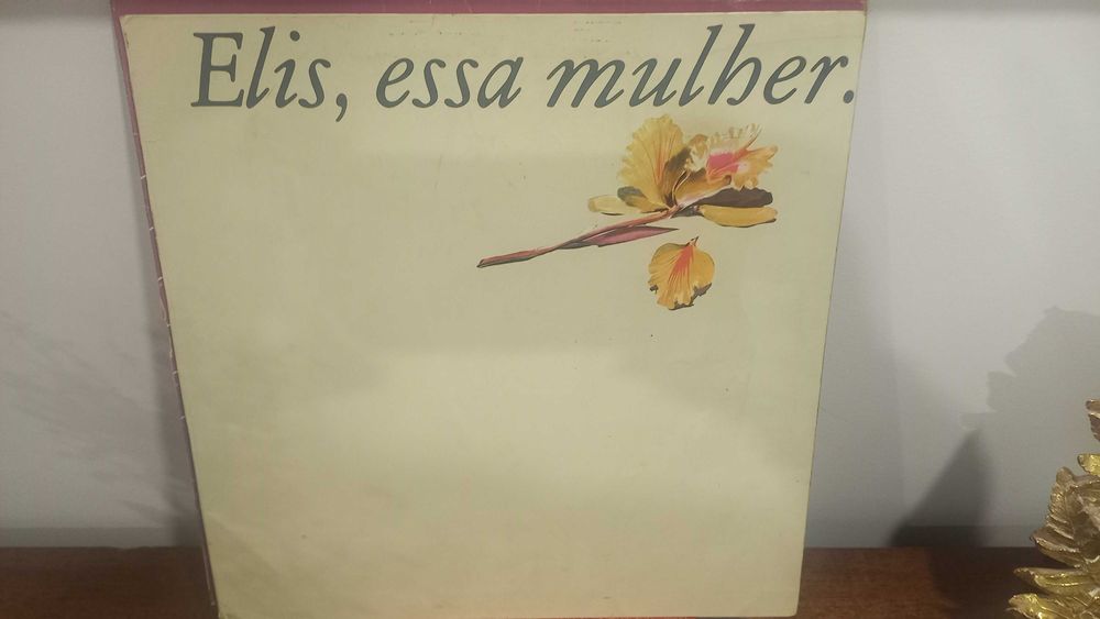 Discos de vinil rock