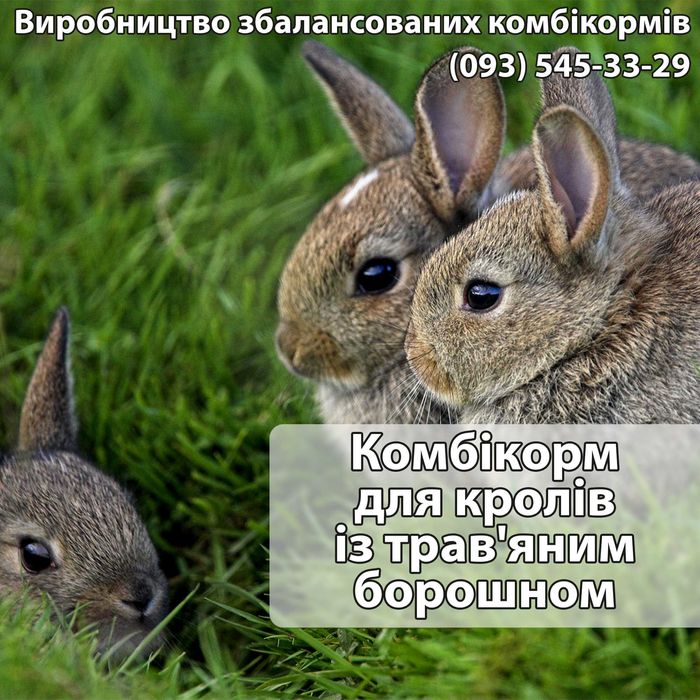 Комбікорм для кролів із трав'яним борошном 20кг .ДОСТАВКА безкоштовна.