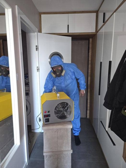 Dezynfekcja, dezynsekcja, deratyzacja, ozonowanie, odgrzybianie ścian