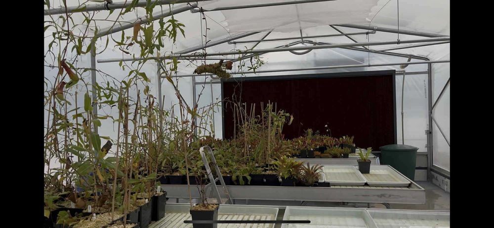 Ściana chłodząca do kurnika, szklarni pad cooling