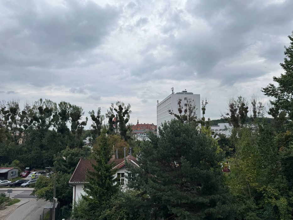 Pokój 10 m² przy Politechnice Gdańskiej – widok na kampus, idealny dla studenta!