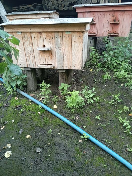 Продам вулики нові