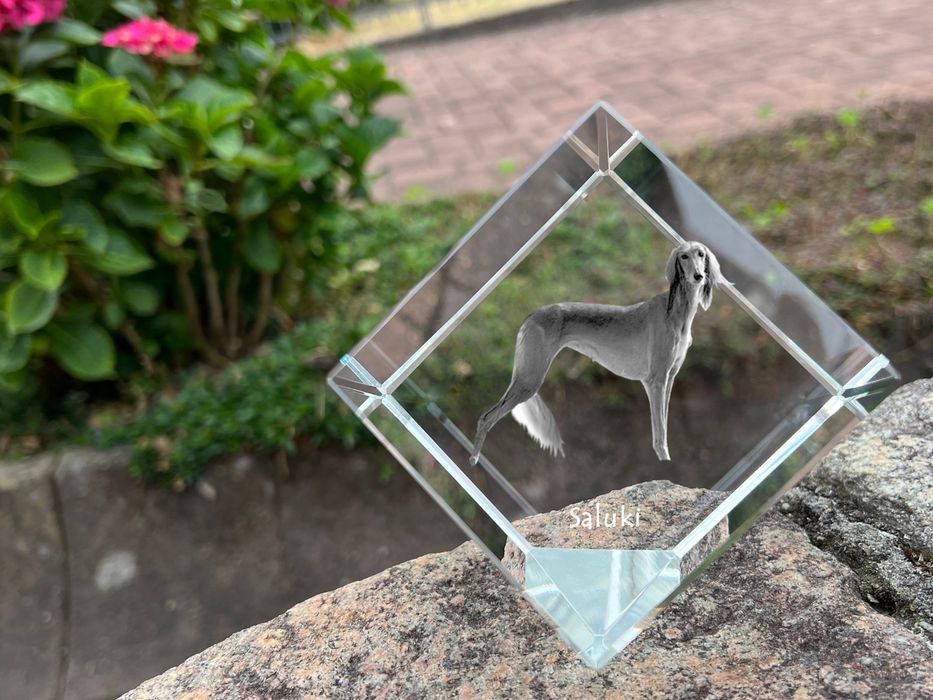 Chart perski, Saluki I kostka kryształowa z psem Art-Dog