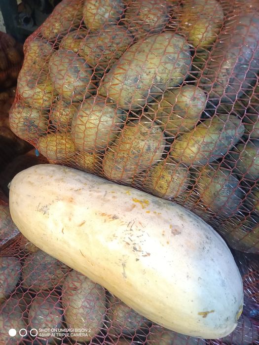 Картопля по Місту Суми