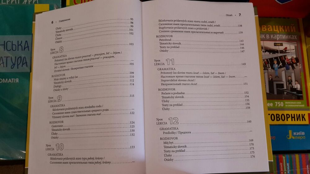 Словацкий язык самоучитель грамматика словарь