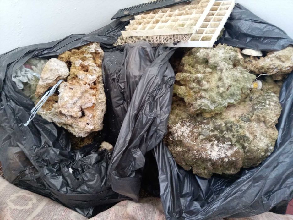 Акваріум морський 270л з усім обладнанням