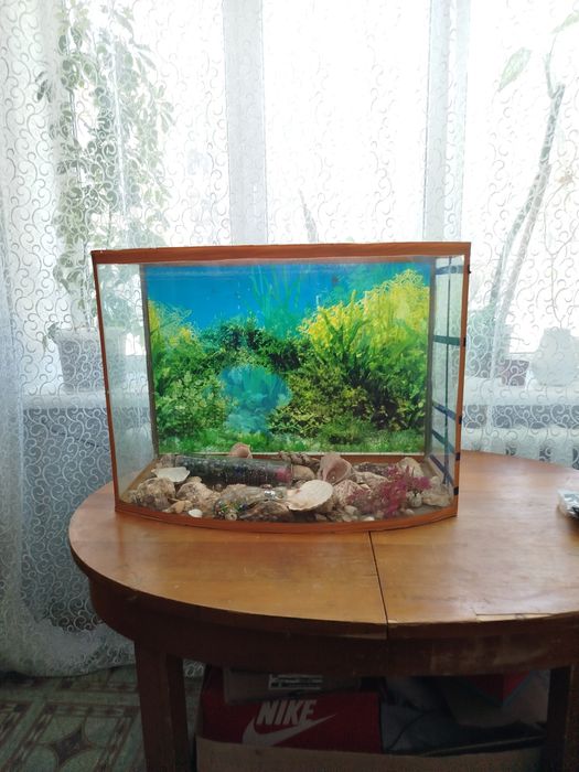 Акваріум, тераріум