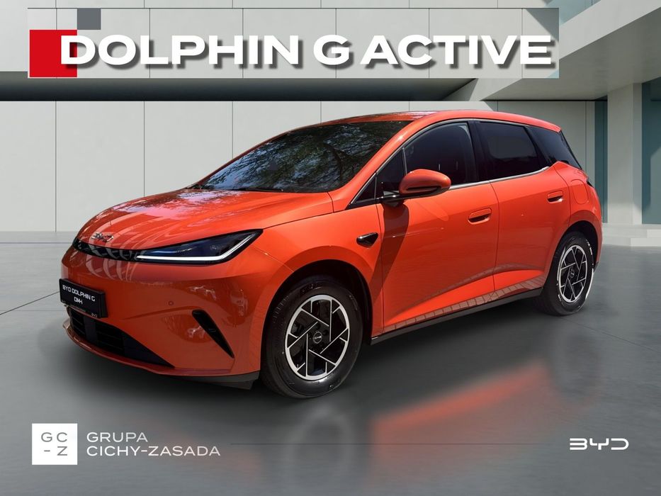 BYD Pozostałe BYD