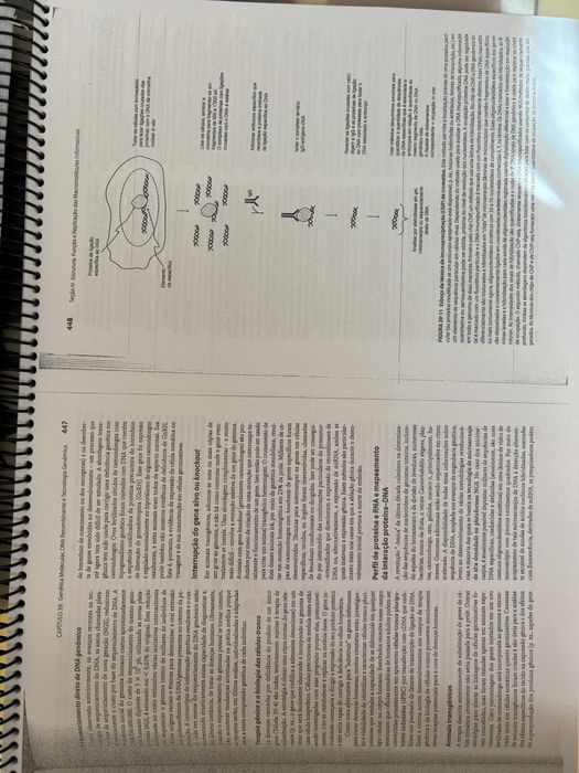 Livro “Bioquímica ilustrada de Harper” impresso