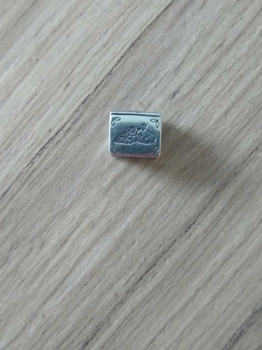 Pandora - srebrny charm