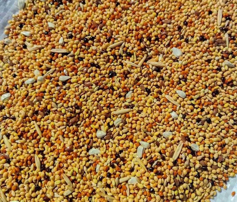 Преміальний корм для папуг  , великих, середніх ,канарок , хвилястих