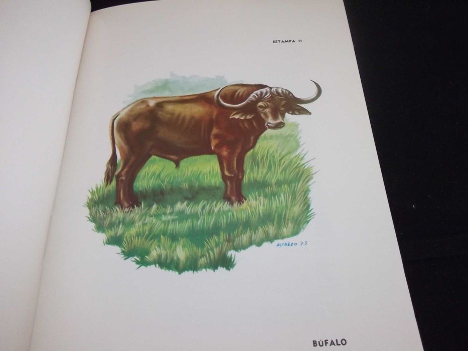 Livro Abecedário dos mamíferos selvagens de Moçambique 1975 1ª edição