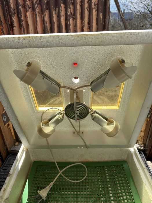 Інкубатор квочка б/у