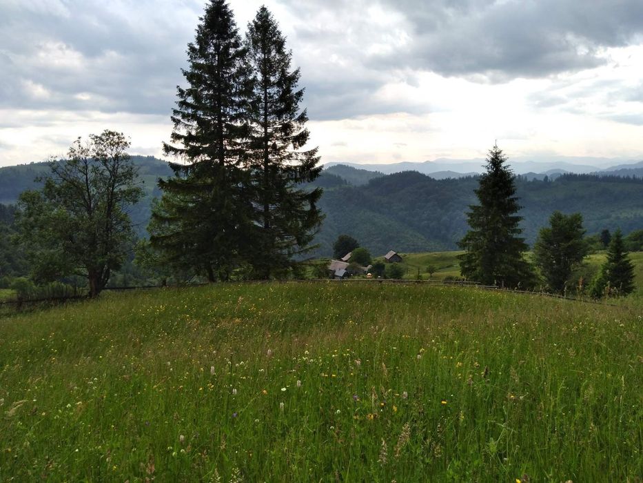 Продається земельна ділянка в горах .