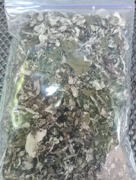 Продаю ферментоване листя дикої малини