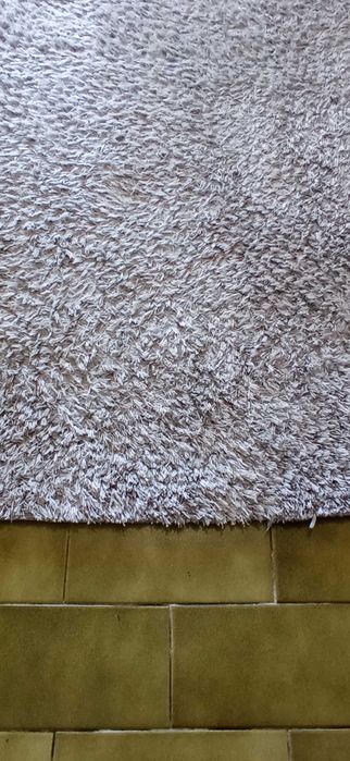 Gray Carpet