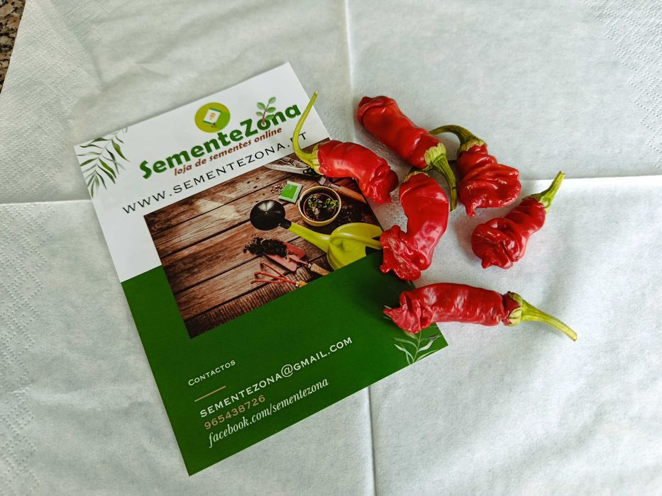 Kit (Sementes) 12 Variedades de Pimentas Picantes