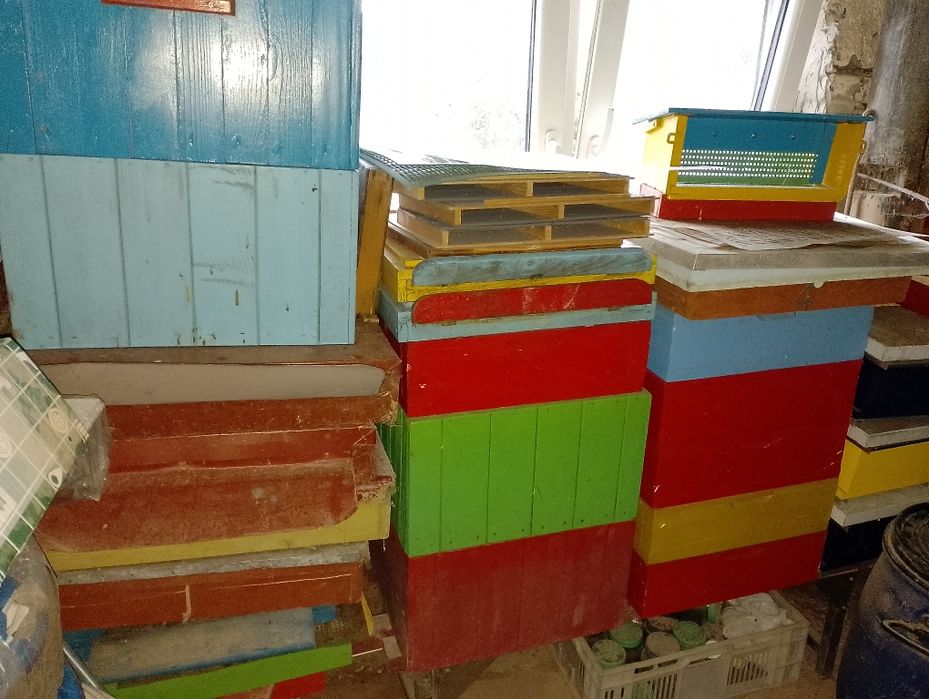 Ule, pszczoły,miód,pasieka,wosk,węza,pszczelarstwo,ramki,wielkopolskie