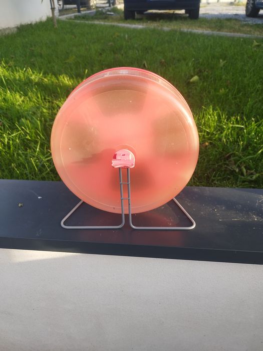 Roda para porquinho da Índia ou ratinhos