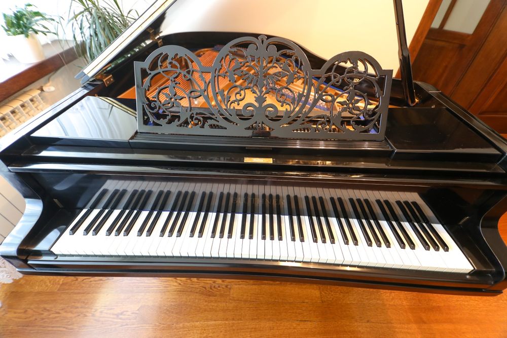 Fortepian Blüthner M-170
