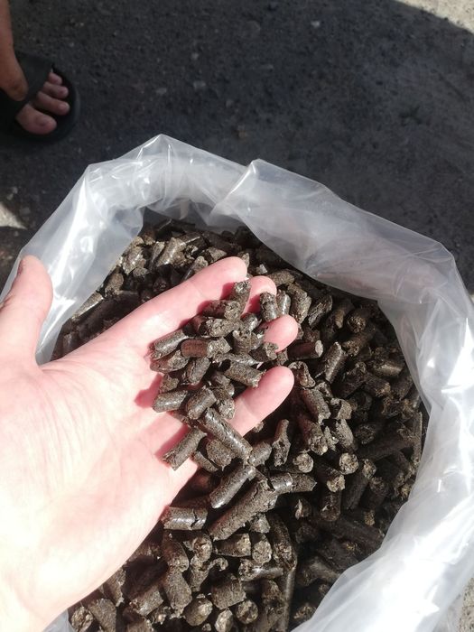 Pellet z łuski słonecznika od 1 tony