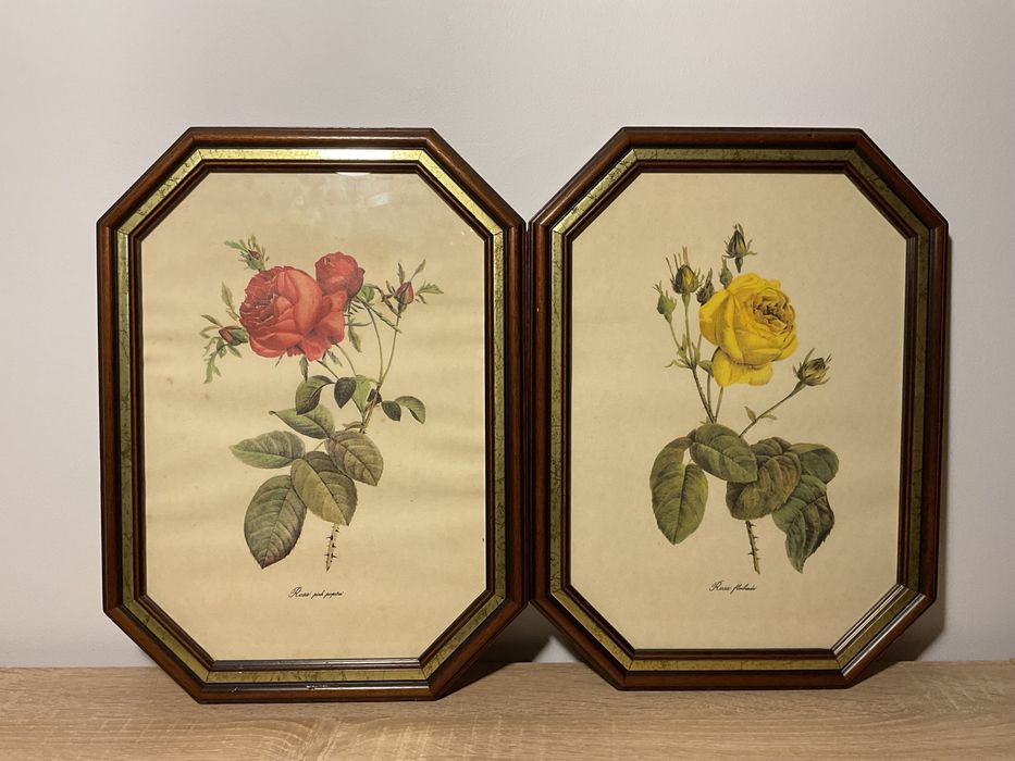 Conjunto de 2 quadros botânicos vintage – flores