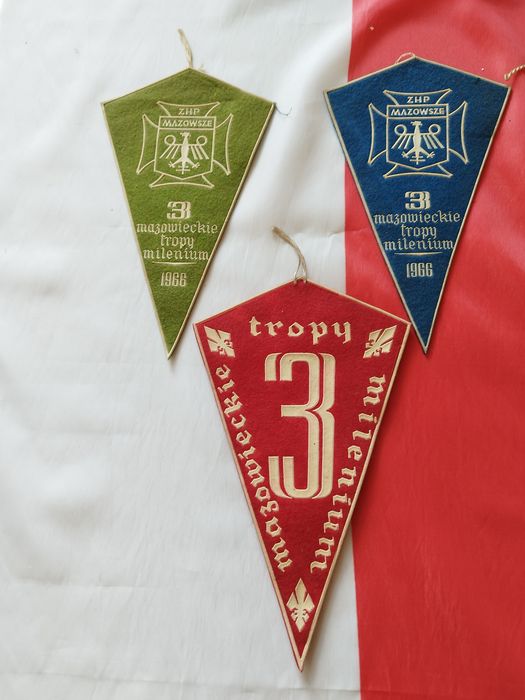 Proporczyki ZHP 1966 r.