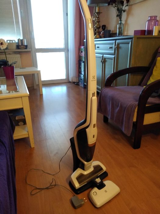 Odkurzacz Electrolux Ergorapido