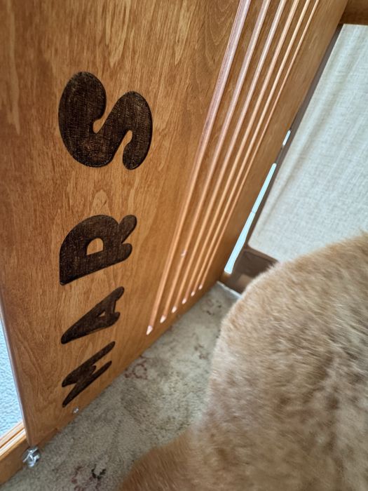 Casinha de madeira artesanal para cão